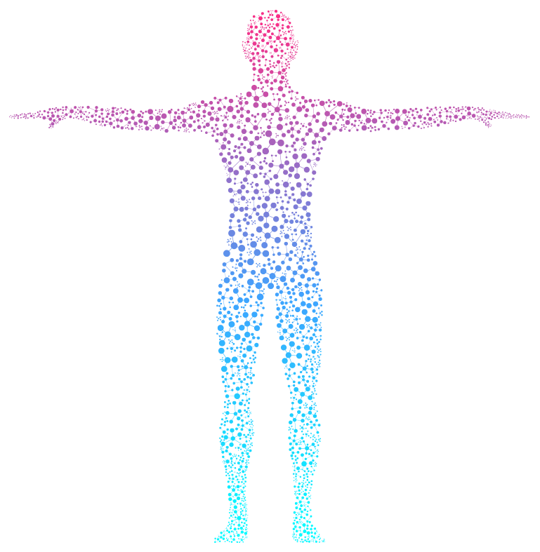 The Human Body
