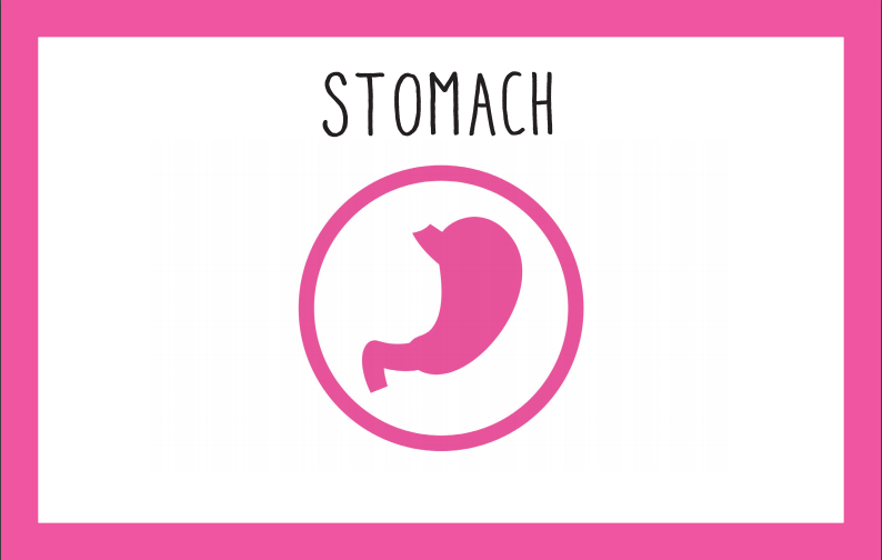 The Body Check Ring: Printable Cards, Activity Booklet, and Online Mini-Course - Image 3