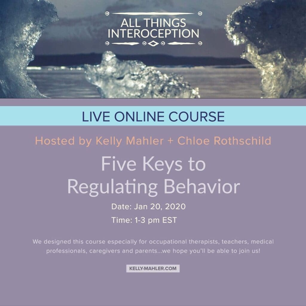5 Keys to Supporting Behavior Regulation | Kelly Mahler