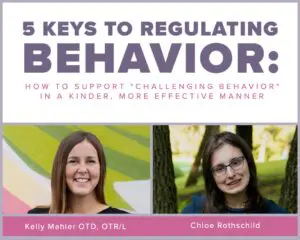On-Demand Course: The 5 Keys to Behavior Regulation: How to Support ‘Challenging Behavior’ in a Kinder, More Effective Manner