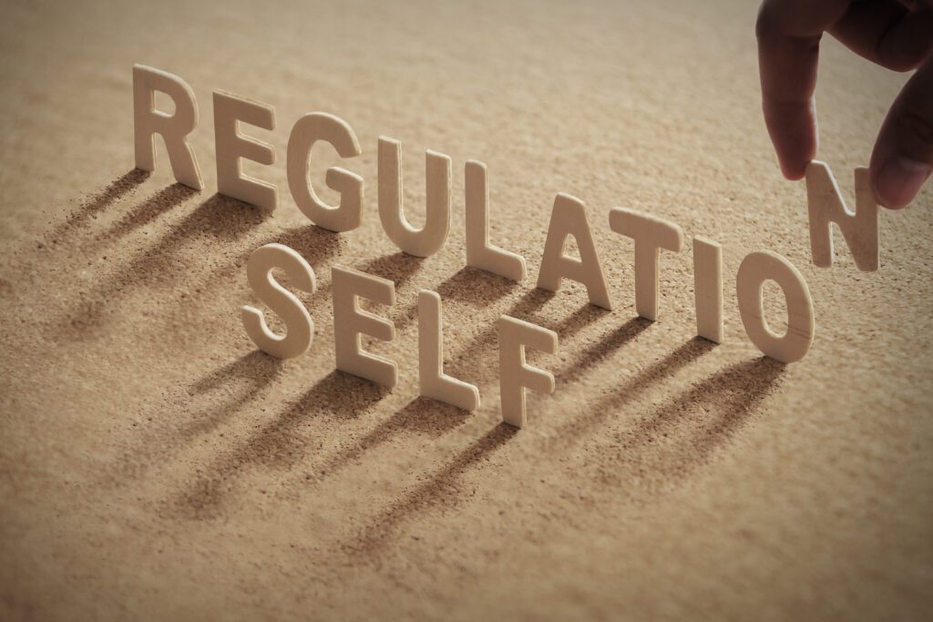 the words self regulation in the sand