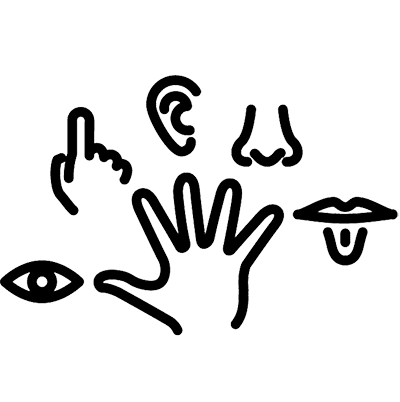 An icon with mini images of different external body parts, like the nose, mouth, and eyes.