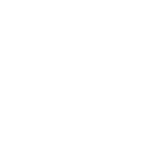 plate icon