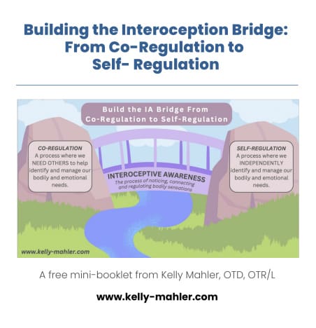 Kelly Mahler Building the Interoception Bridge Mini Booklet cover